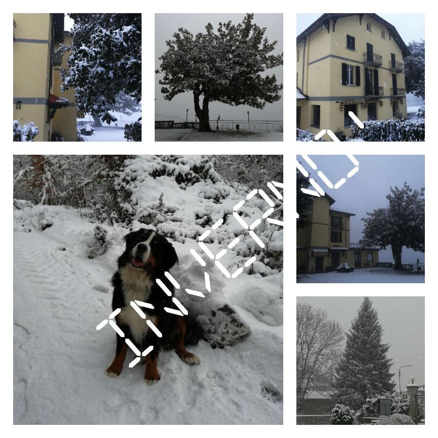 Villa Magnolia Bb, Lago Maggiore Massino Visconti ภายนอก รูปภาพ